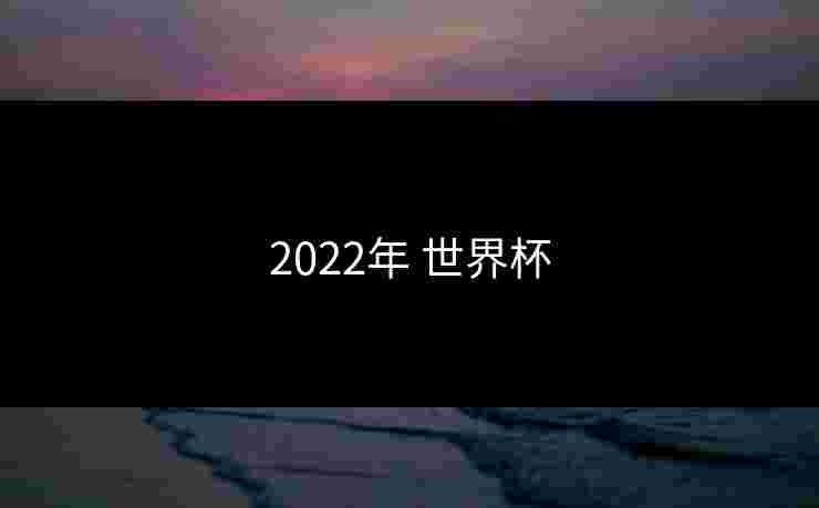 2022年 世界杯